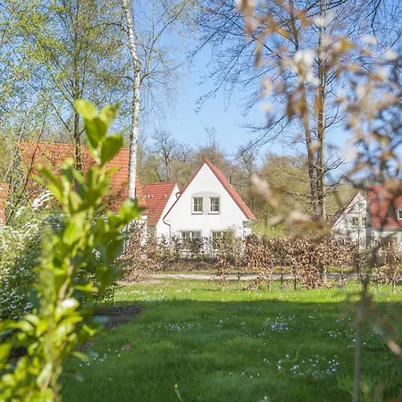 Traditional At Near Forest