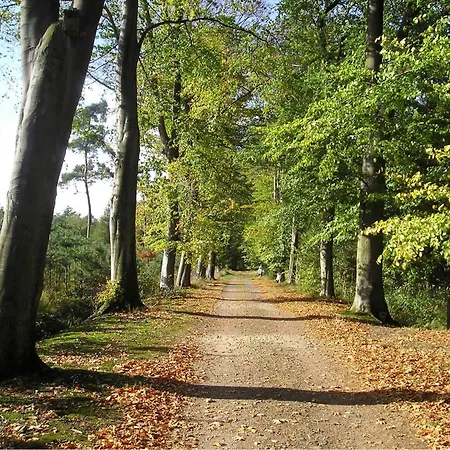 Vila Traditional At Near Forest